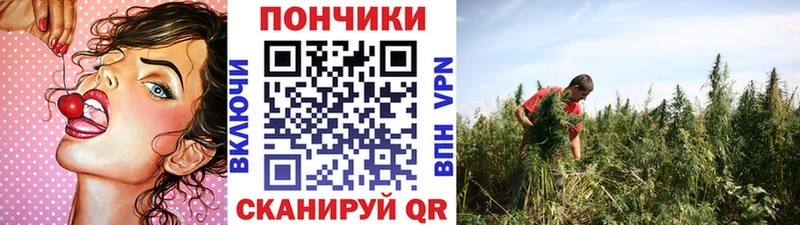 Купить наркотики сайты Тарко-Сале АМФ  Alpha-PVP  ГАШ  Меф  Конопля 