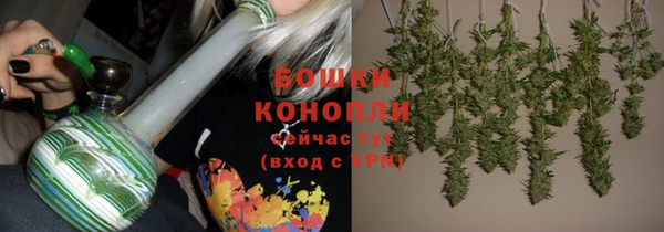 гидропоника Каменка