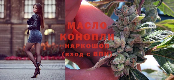 гидропоника Каменка